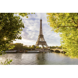 Fototapet - Seine In Paris