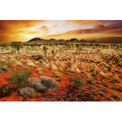 Fototapet - Australian Landscape