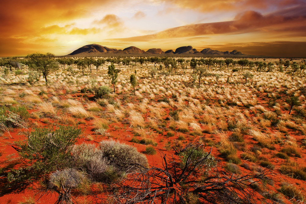 Fototapet - Australian Landscape