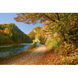 Fototapet - Dunajec River