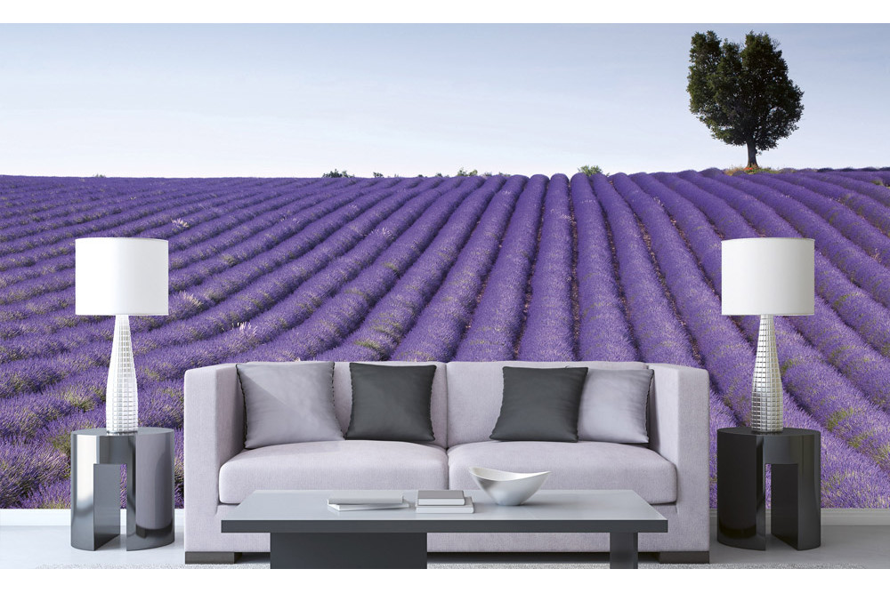 Fototapet - Lavender Field - interiørbillede