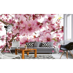 Fototapet - Apple Blossom - interiørbillede