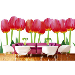 Fototapet - Bed Of Tulips - interiørbillede