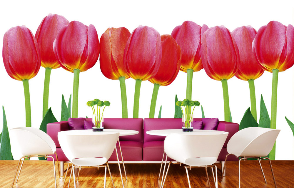 Fototapet - Bed Of Tulips - interiørbillede
