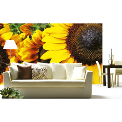 Fototapet - Sunflowers - interiørbillede