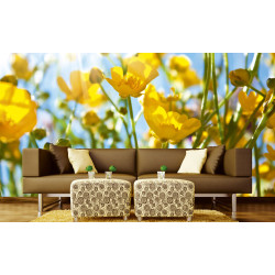 Fototapet - Yellow Flowers - interiørbillede
