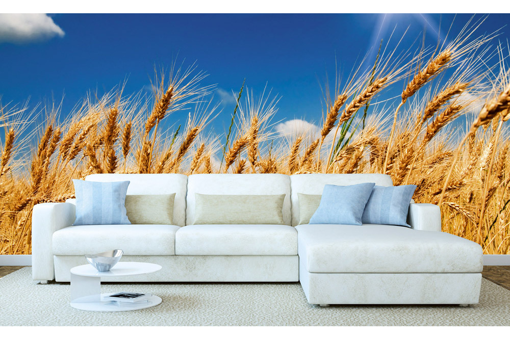 Fototapet - Wheat Field - interiørbillede