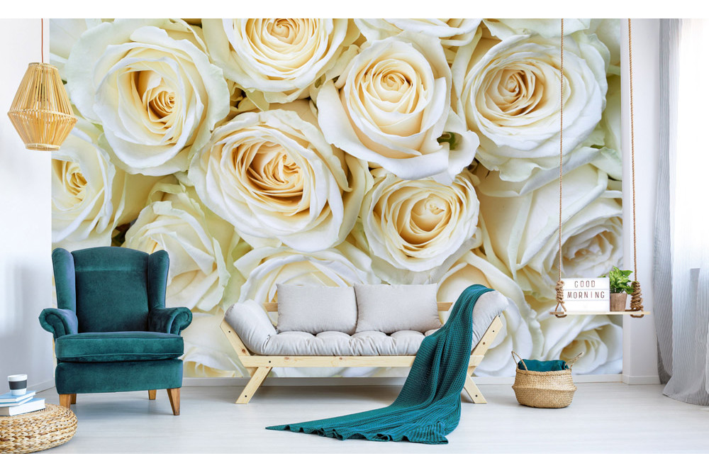 Fototapet - White Roses - interiørbillede
