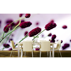 Fototapet - Floral Violet - interiørbillede