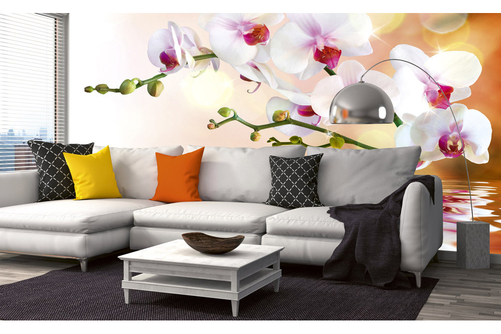 Fototapet - White Orchid - interiørbillede