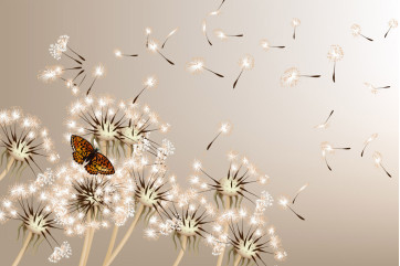 Fototapet - Dandelions And Butterfly