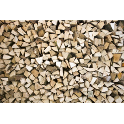 Fototapet - Timber Logs