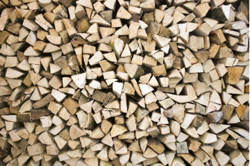 Fototapet - Timber Logs