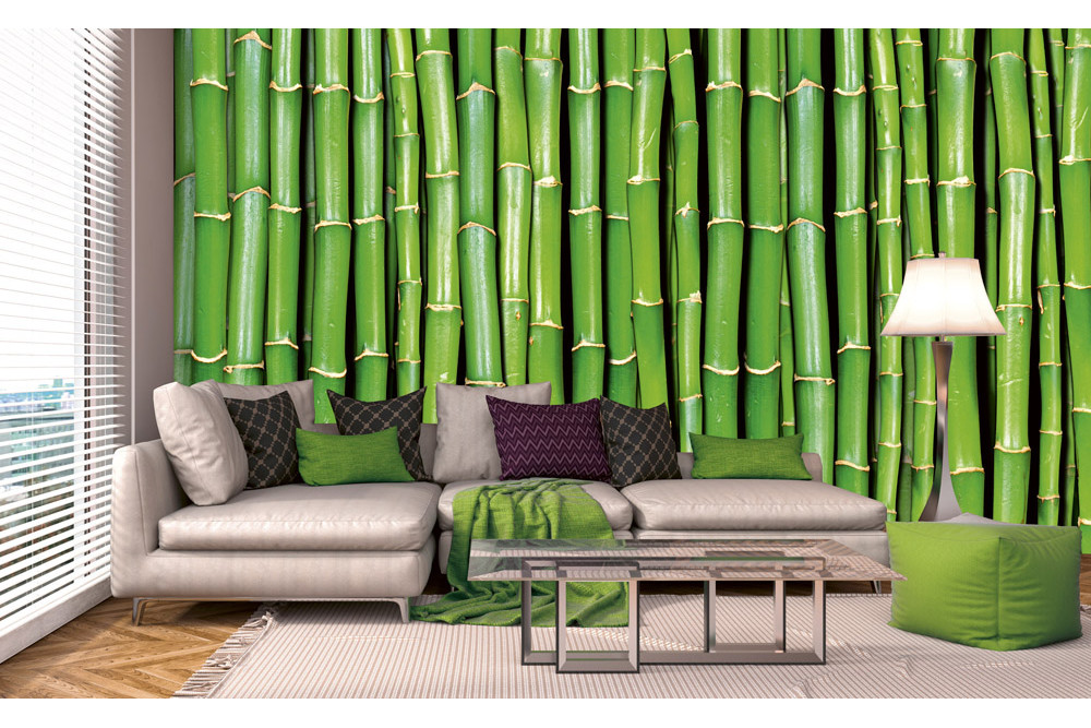 Fototapet - Bamboo - interiørbillede