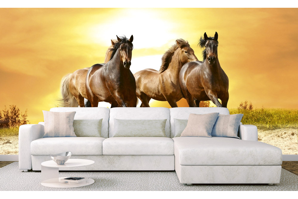 Fototapet - Horses In Sunset - interiørbillede