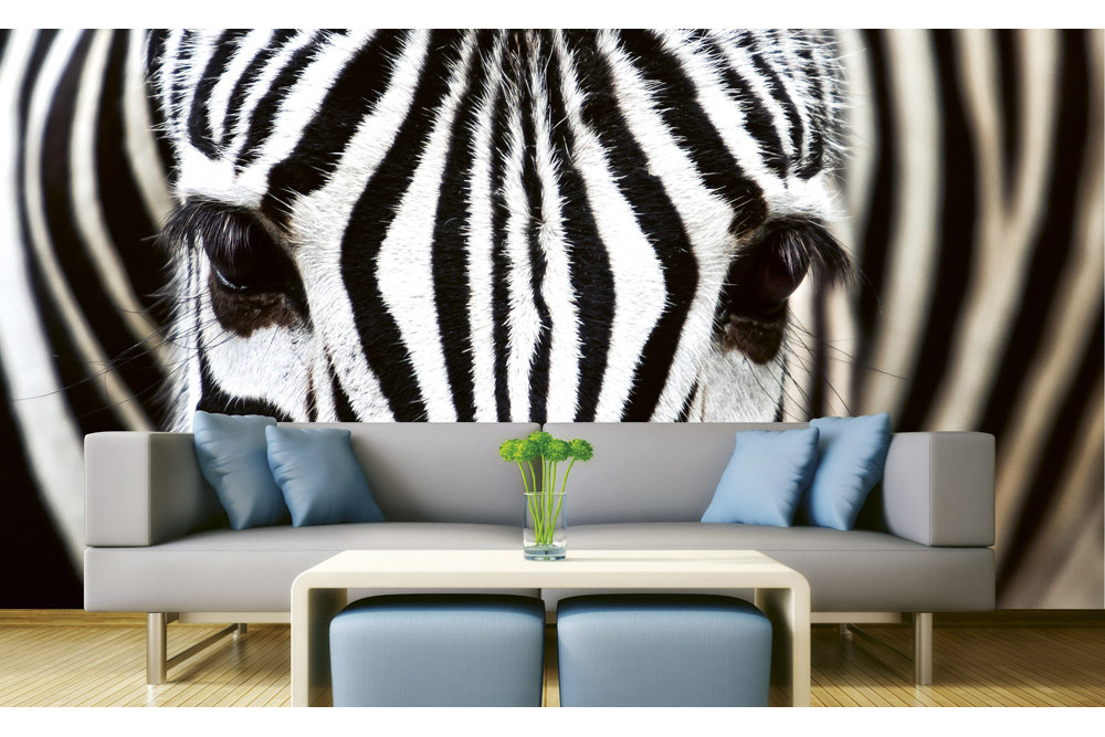 Fototapet - Zebra - interiørbillede