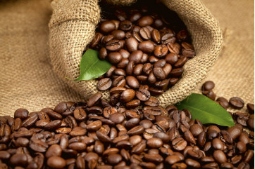 Fototapet - Coffee Beans