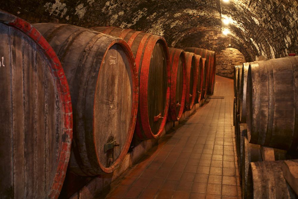 Fototapet - Wine Barrels