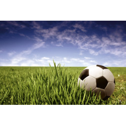 Fototapet - Soccer Ball