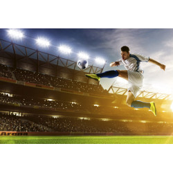 Fototapet - Soccer Player