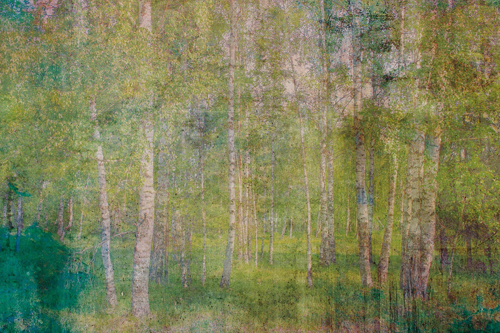 Fototapet - Leaves Abstract