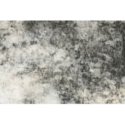 Fototapet - Nature Gray Abstract
