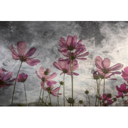 Fototapet - Violet Flower Abstract