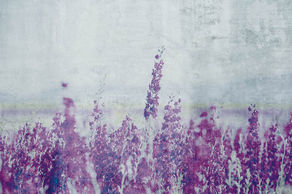 Fototapet - Lavender Abstract