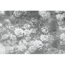 Fototapet - Roses Abstract Ii