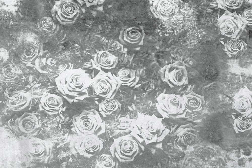 Fototapet - Roses Abstract Ii