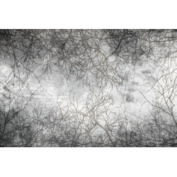 Fototapet - Branch Abstract