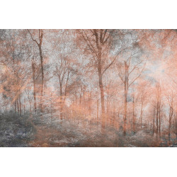 Fototapet - Colorful Forest Abstract