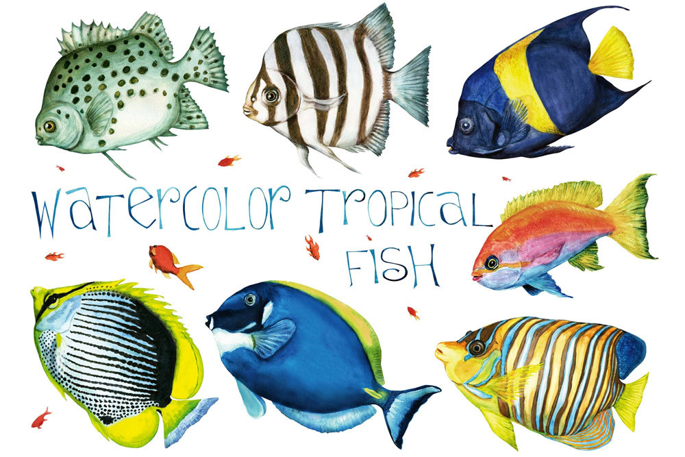 Fototapet - Tropical Fishes