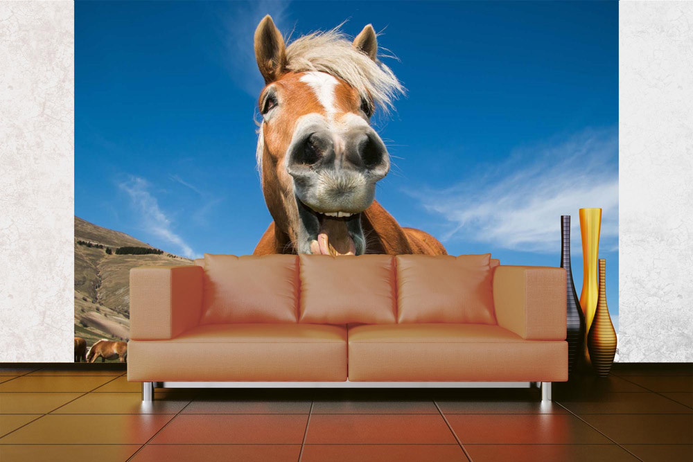 Fototapet - Funny Shot Of Horse- interiørbillede
