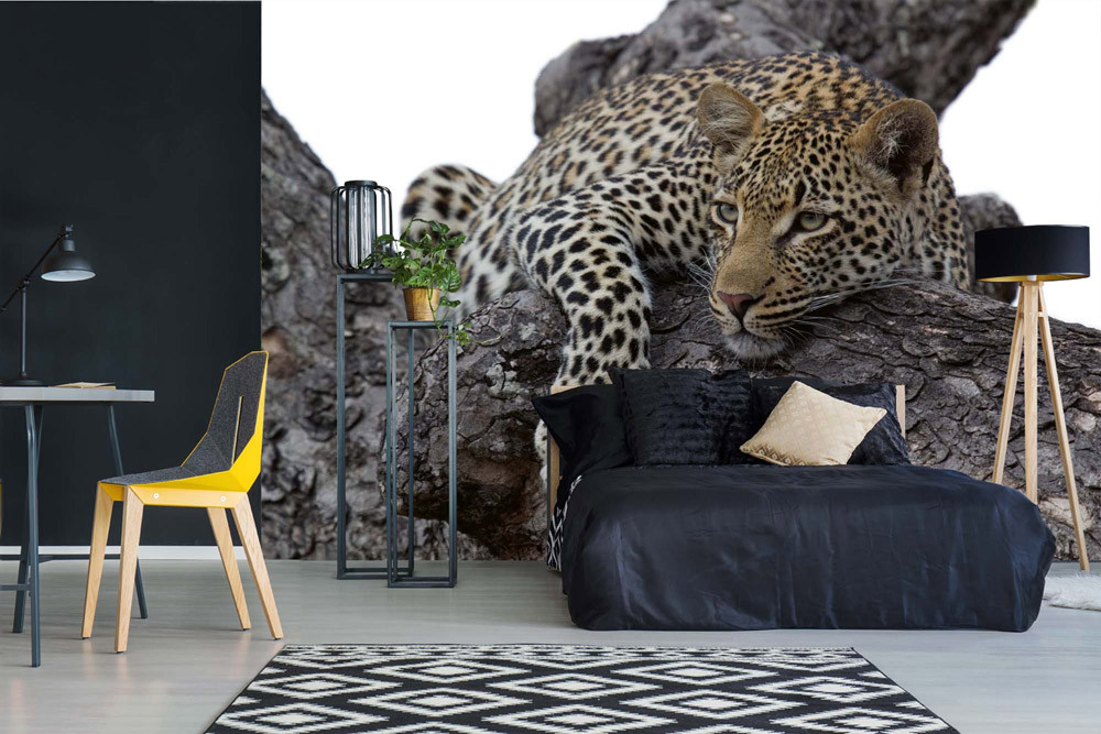 Fototapet - Leopard In Tree- interiørbillede