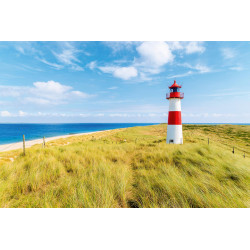 Fototapet - Lighthouse On The Beach
