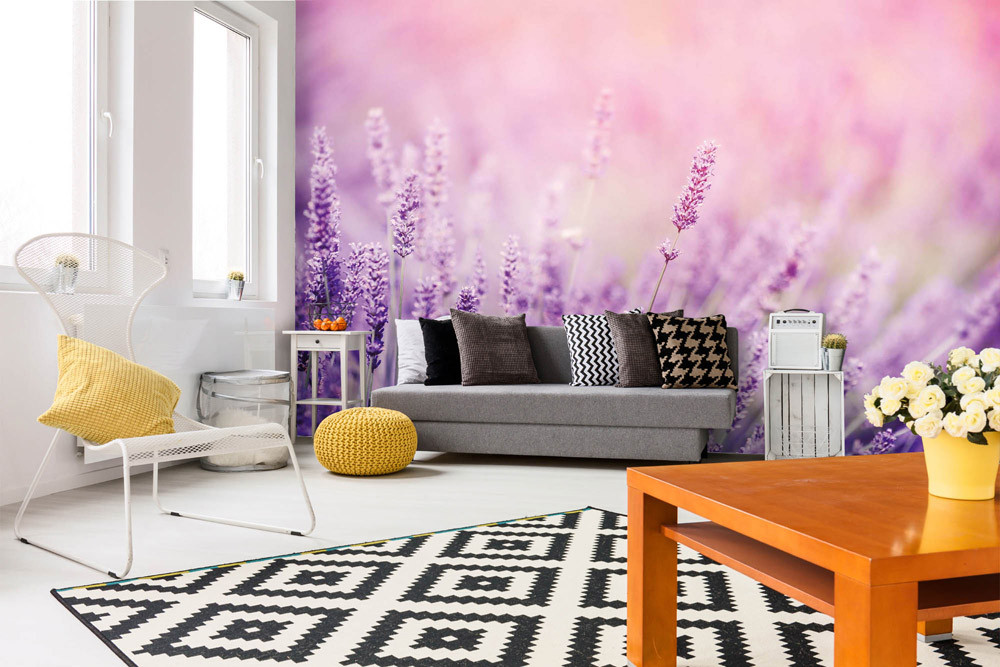 Fototapet - Lavender- interiørbillede