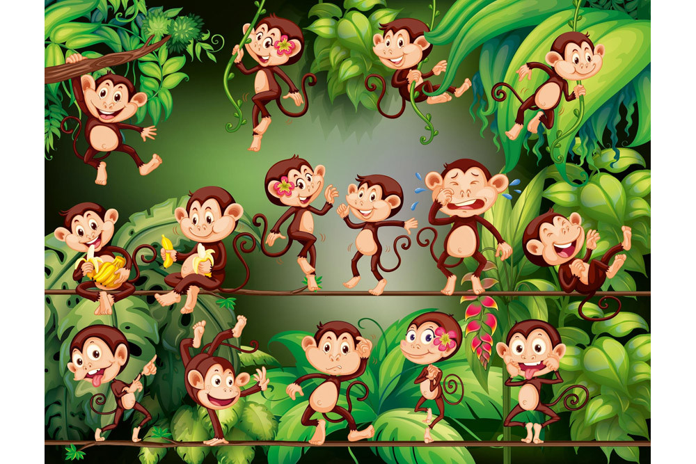Fototapet - Monkeys