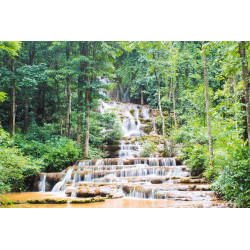 Fototapet - Little Waterfall