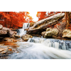 Fototapet - Landscape With The Waterfall