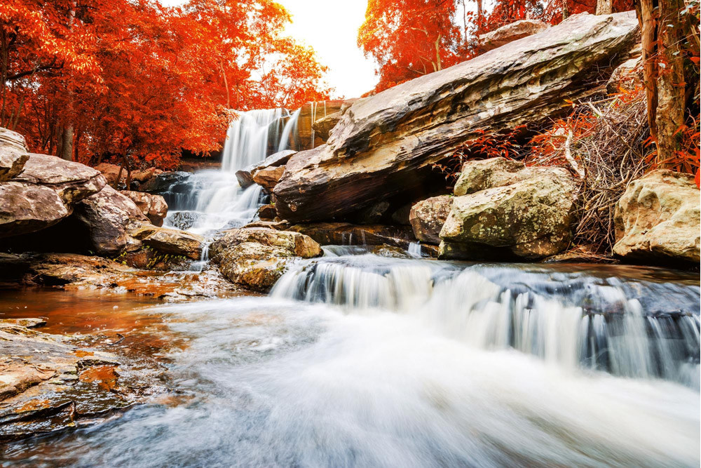 Fototapet - Landscape With The Waterfall