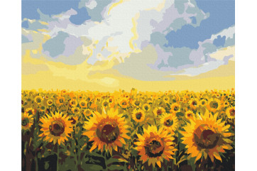 Mal efter tal - Sunflower field - blomster