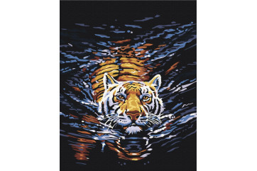 Mal efter tal - Tiger swimmer - dyr