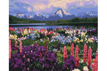 Mal efter tal - Valley of wild flowers - natur