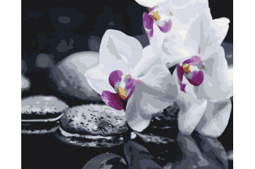 Mal efter tal - Zen flowers - blomster