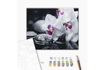 Mal efter tal - Zen flowers