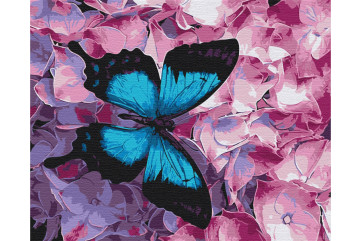 Mal efter tal - Butterfly on flowers - landskaber