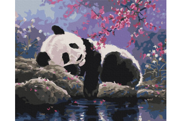 Mal efter tal - Sweet panda sleep - dyr
