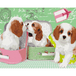Mal efter tal - Cute puppies in suitcases - dyr