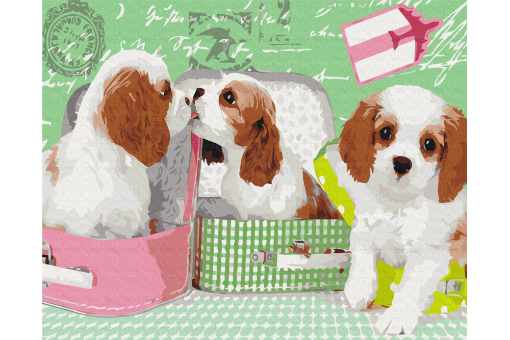 Mal efter tal - Cute puppies in suitcases - dyr